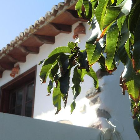 Villa Delfines Agulo Exterior photo
